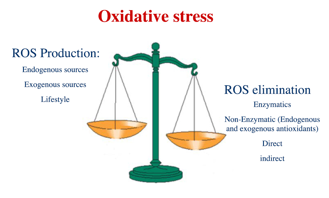 ESTRES-OXIDATIVO-ENG